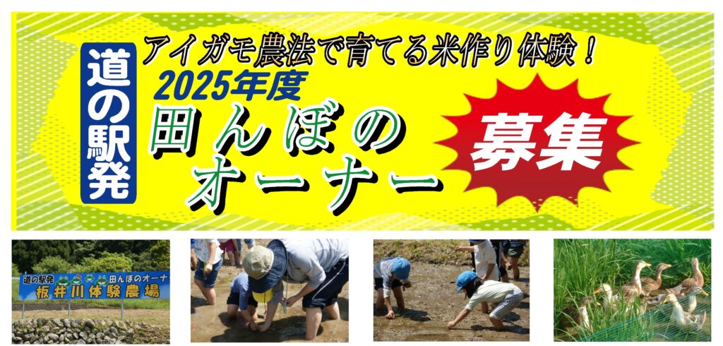 お知らせのサムネイル