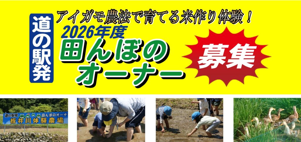 お知らせのサムネイル