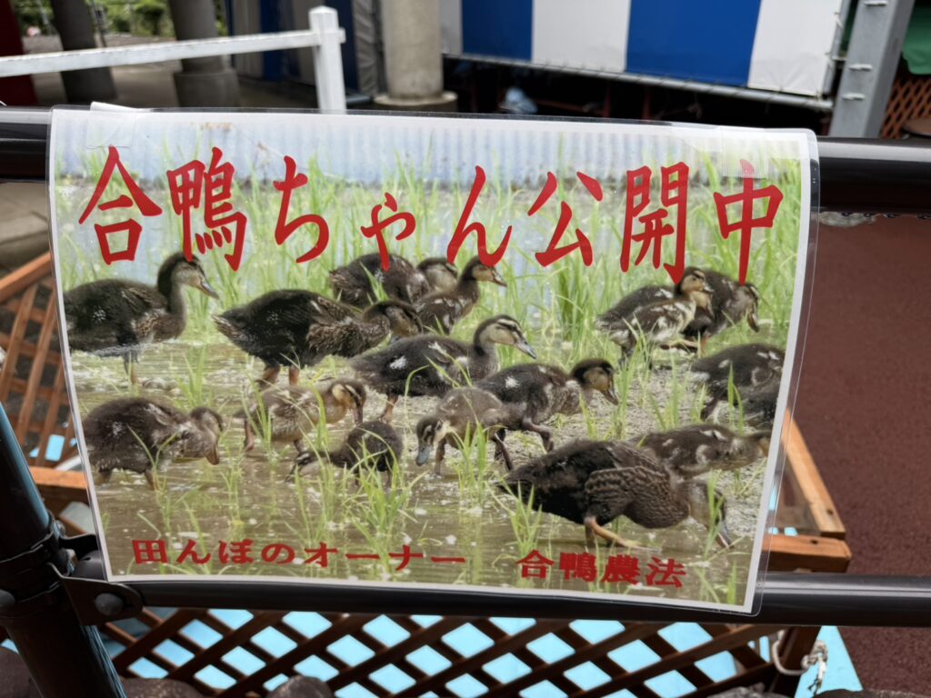 お知らせのサムネイル